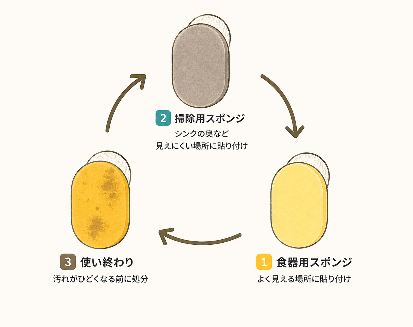 食器用→掃除用→処分のスポンジローテーション概念図（AI生成）